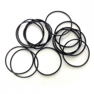 Corrosion Resistance O-rings
